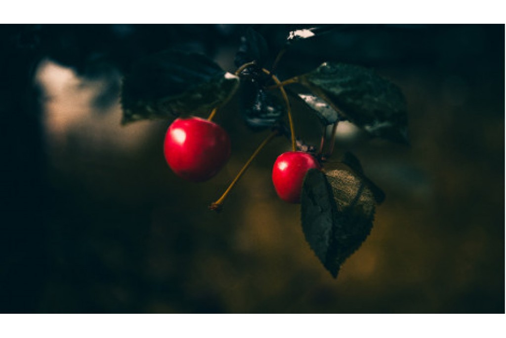 Deneme Blog Yazısı 2