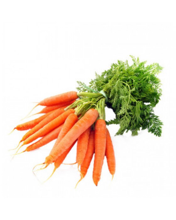  Omuz Bağlama Halka Kemer Tulum