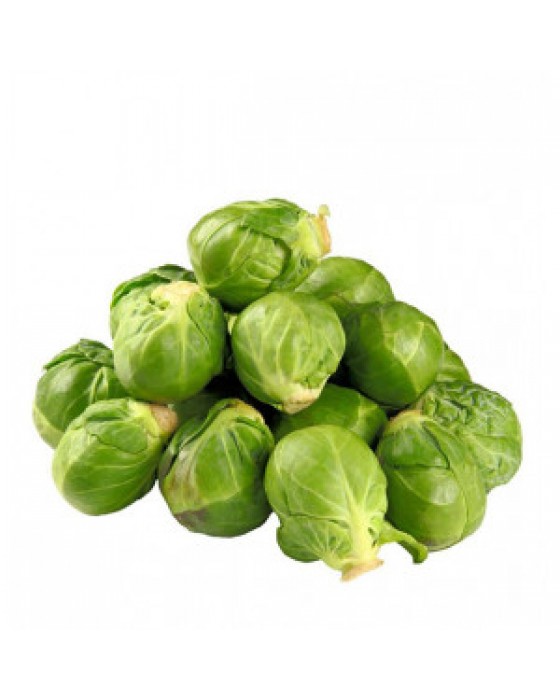  Omuz Bağlama Halka Kemer Tulum