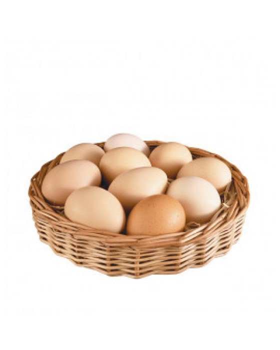  Omuz Bağlama Halka Kemer Tulum