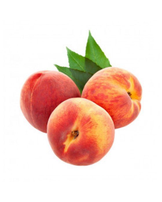  Omuz Bağlama Halka Kemer Tulum