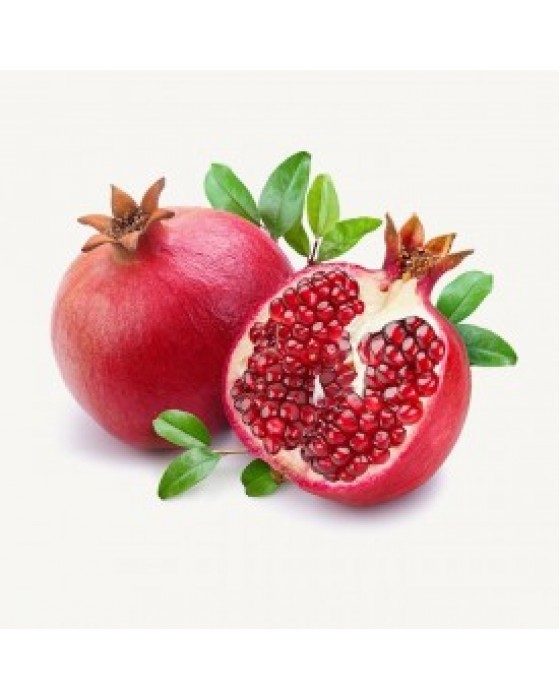  Omuz Bağlama Halka Kemer Tulum