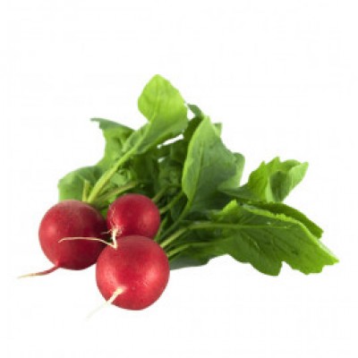  Omuz Bağlama Halka Kemer Tulum