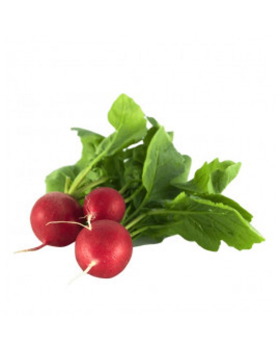  Omuz Bağlama Halka Kemer Tulum