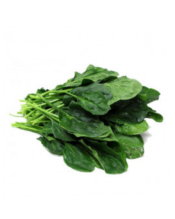  Omuz Bağlama Halka Kemer Tulum