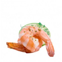  Omuz Bağlama Halka Kemer Tulum