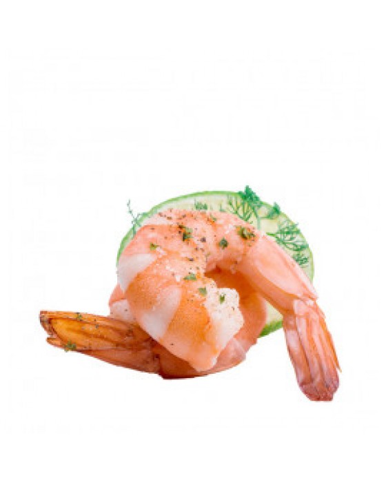  Omuz Bağlama Halka Kemer Tulum