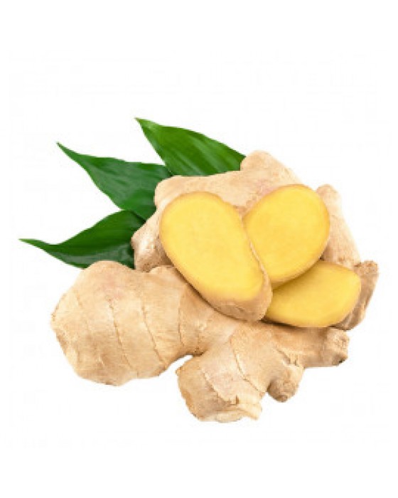  Omuz Bağlama Halka Kemer Tulum