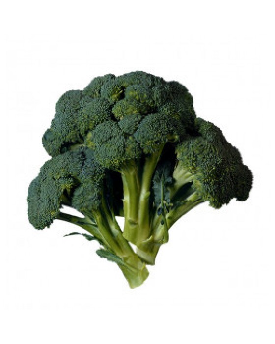  Omuz Bağlama Halka Kemer Tulum