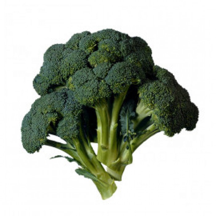  Omuz Bağlama Halka Kemer Tulum